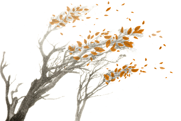 Leaning Trees