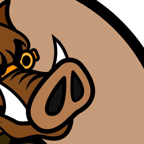 Air Soft Ball - Soldier Hog Mascott - Color